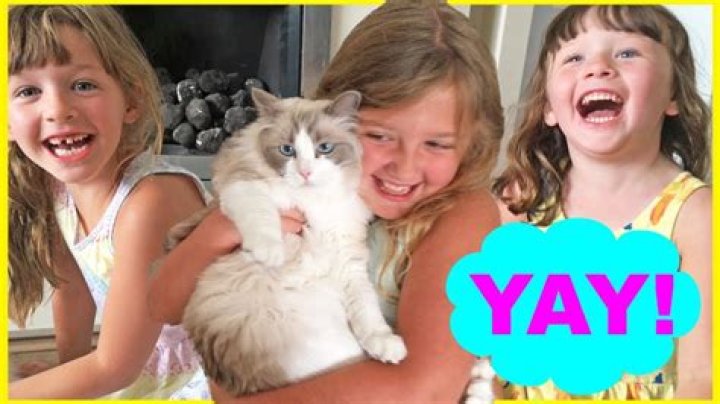 Ava Fun Family Three